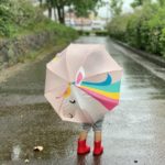 雨の日